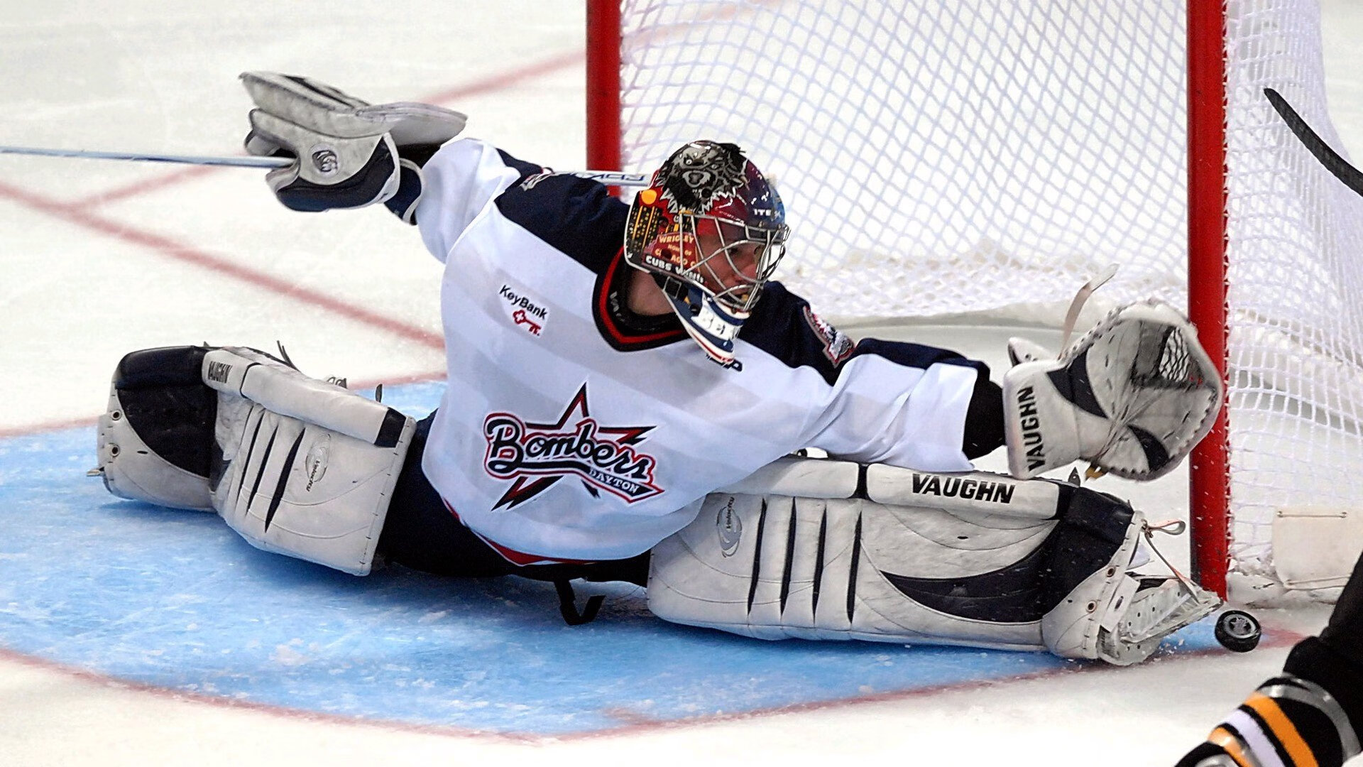 德国自由泳健将强势闯入半决赛，德国自由运动