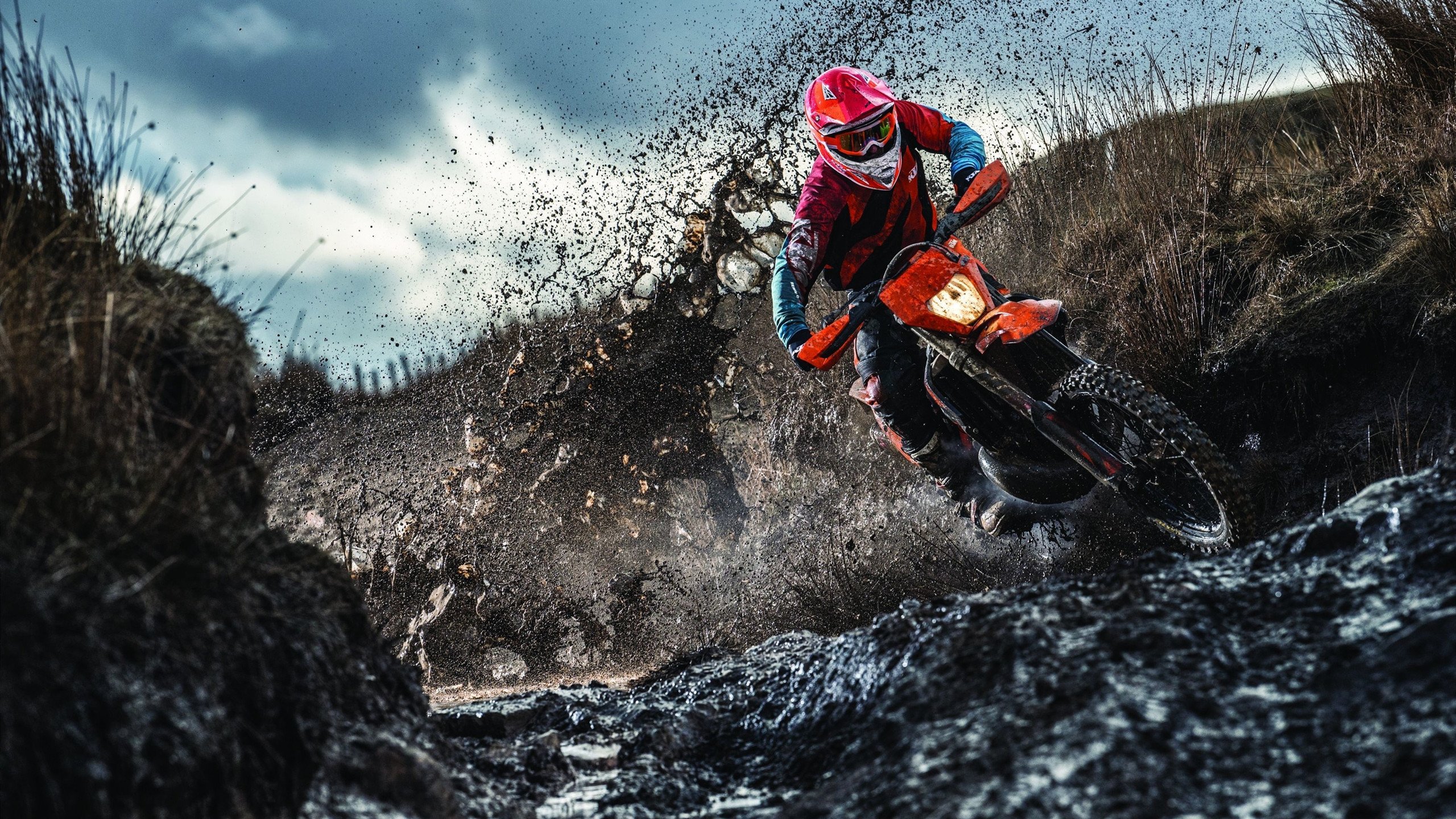 乌鸦攻防两端均衡，赢下分区关键战，乌鸦打法