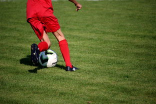 开云体育中国官方网站-青训球员选拔机制存在结构性偏见，青训选拔喜欢那种球员